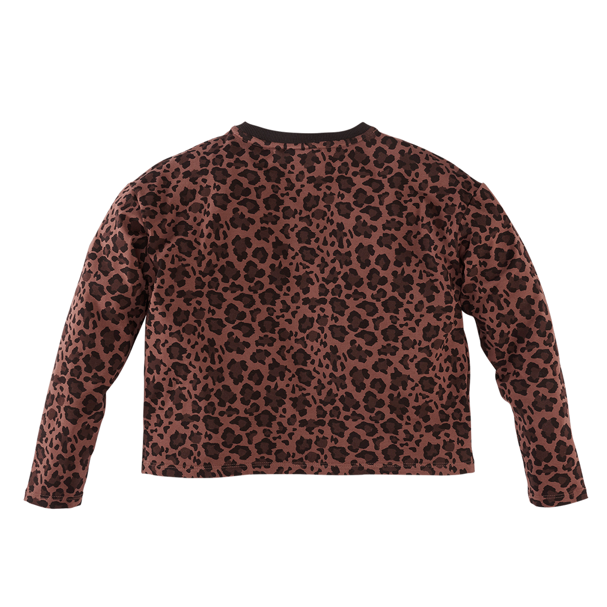 Z8 Doris Autumn teddy