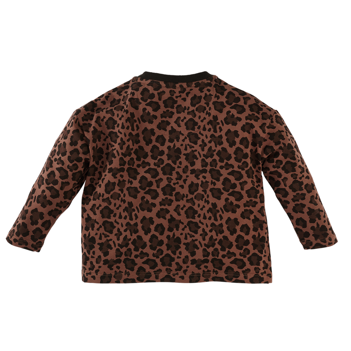 Z8 Aila Autumn teddy
