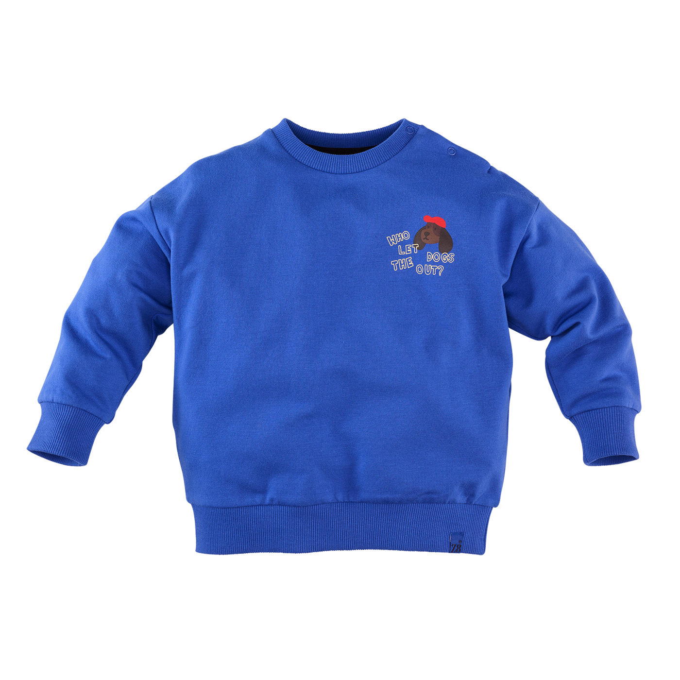 Z8 Vinz Electric blue
