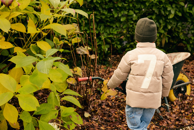 Daily7 Winterjacket Corduroy Plaza Taupe