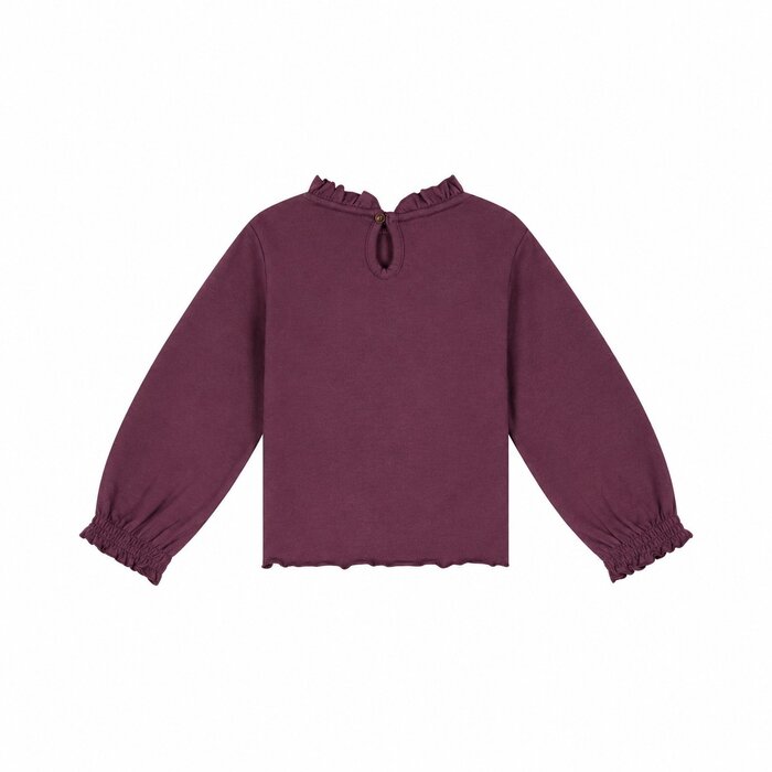 Stains & Stories girls t-shirt long sleeve Wine Red SSA26408652