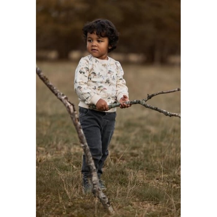 Little Dutch Toddler boys Winter 26 Sweater Safari Adventure