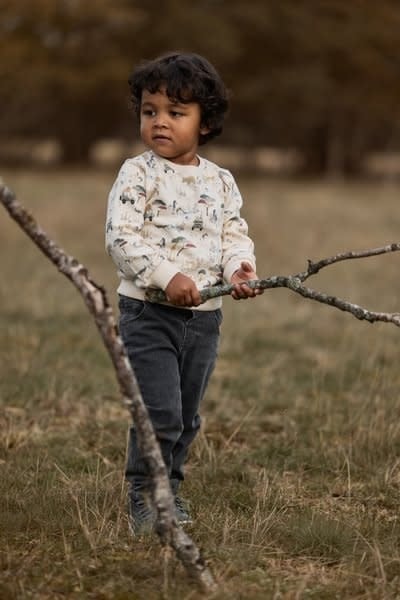 Little Dutch Toddler boys Winter 26 Sweater Safari Adventure