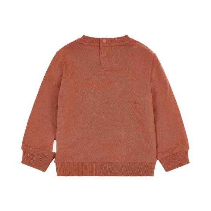 Little Dutch Toddler boys Winter 26 Sweater Desert Red