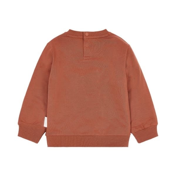 Little Dutch Toddler boys Winter 26 Sweater Desert Red