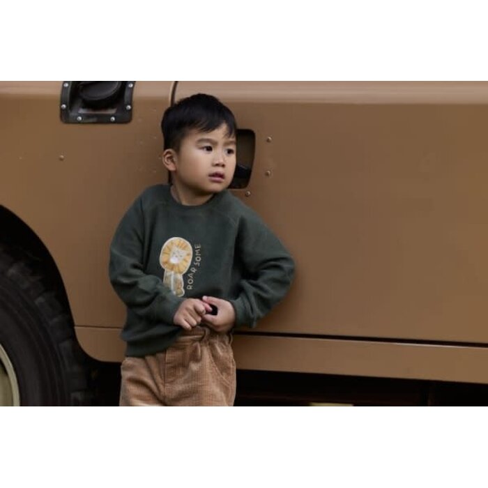 Little Dutch Toddler boys Winter 26 Sweater Deep Olive