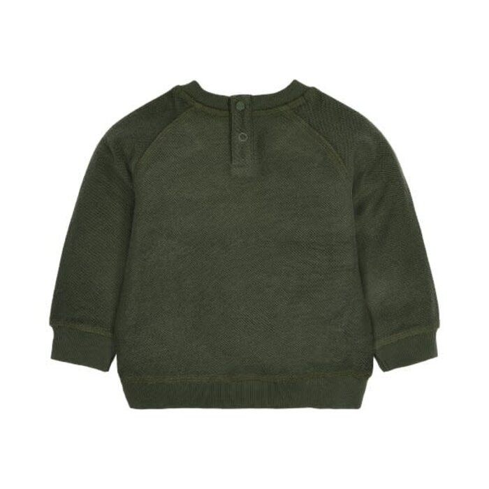Little Dutch Toddler boys Winter 26 Sweater Deep Olive