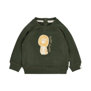 Little Dutch Toddler boys Winter 26 Sweater Deep Olive
