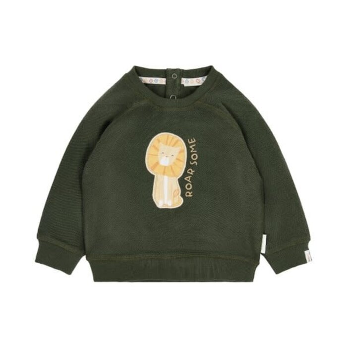 Little Dutch Toddler boys Winter 26 Sweater Deep Olive