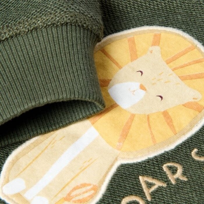 Little Dutch Toddler boys Winter 26 Sweater Deep Olive