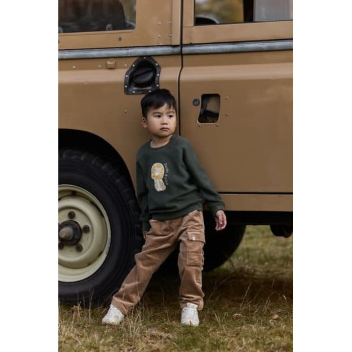 Little Dutch Toddler boys Winter 26 Sweater Deep Olive