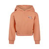 Hoodie Muted clay