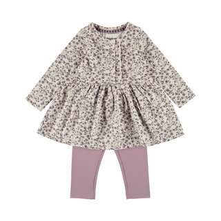 Dirkje 2 pc set, Dress ls, Leggings Elderberry