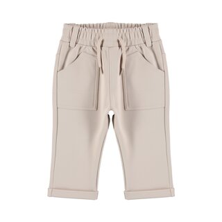 Dirkje Trousers, loose fit Chateau gray