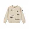 Sweater Feather gray