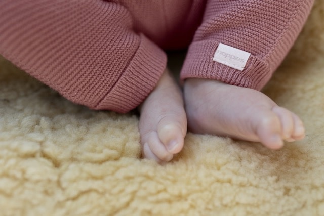 Noppies Pants Knit Grover - Deauville Mauve