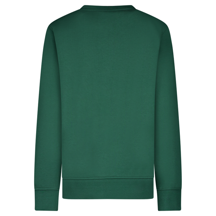 Cars Jeans Kids RULFO SW Green