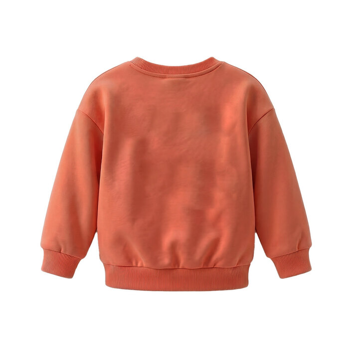 Your Wishes Garment Dye | Oversized Sweater Ginger