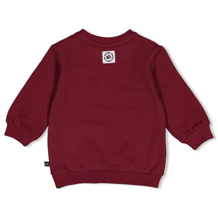 Feetje Sweater Bordeaux - Built for Fun