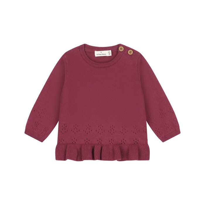 A Tiny Story baby pullover Dark red TIN26629344