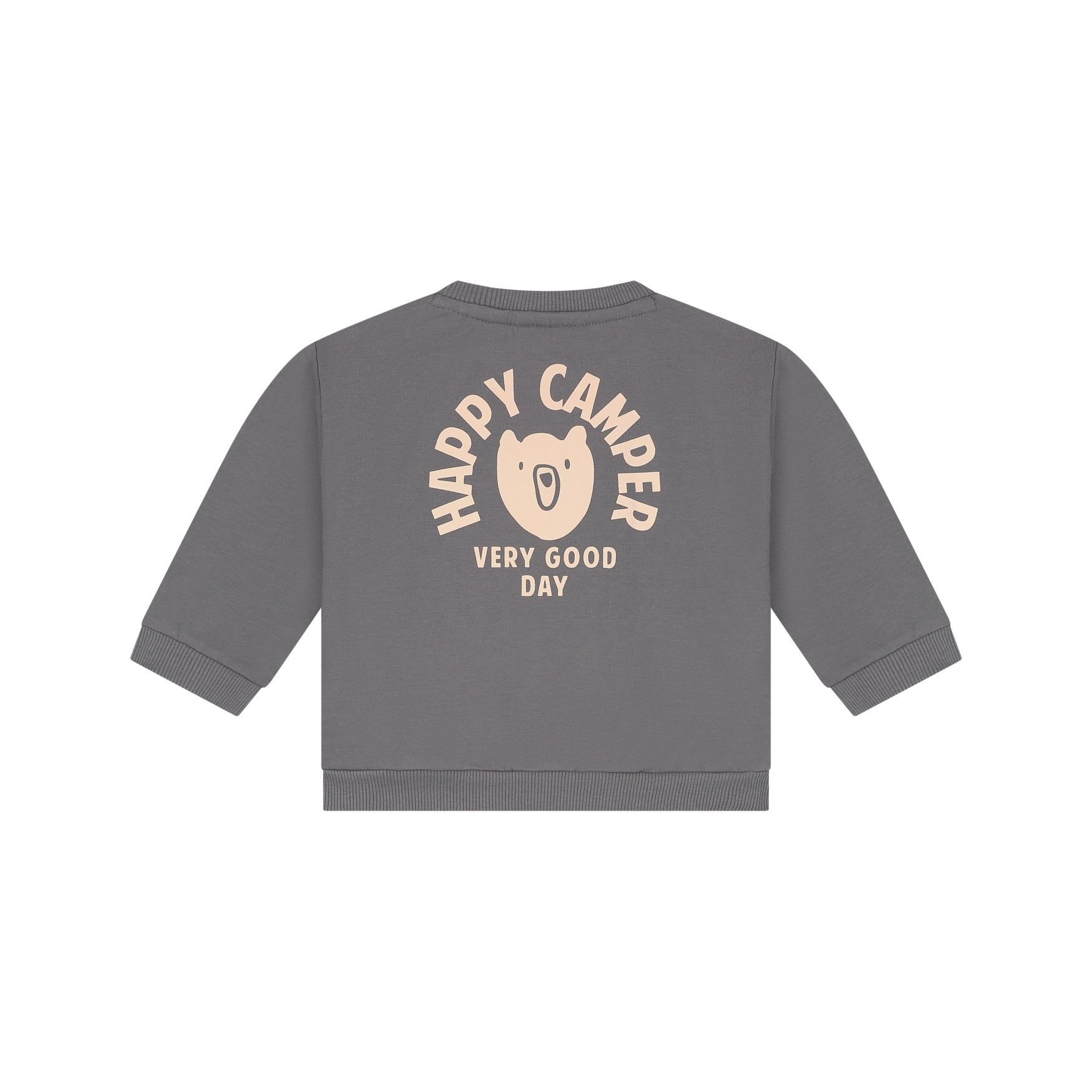 Babyface baby boys sweatshirt Steel