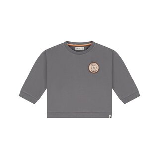 Babyface baby boys sweatshirt Steel