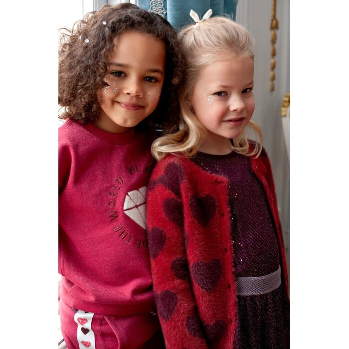 Jubel Longsleeve pailetten Bordeaux - Daily Princess