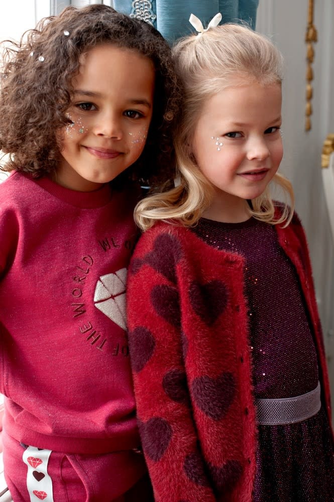 Jubel Longsleeve pailetten Bordeaux - Daily Princess