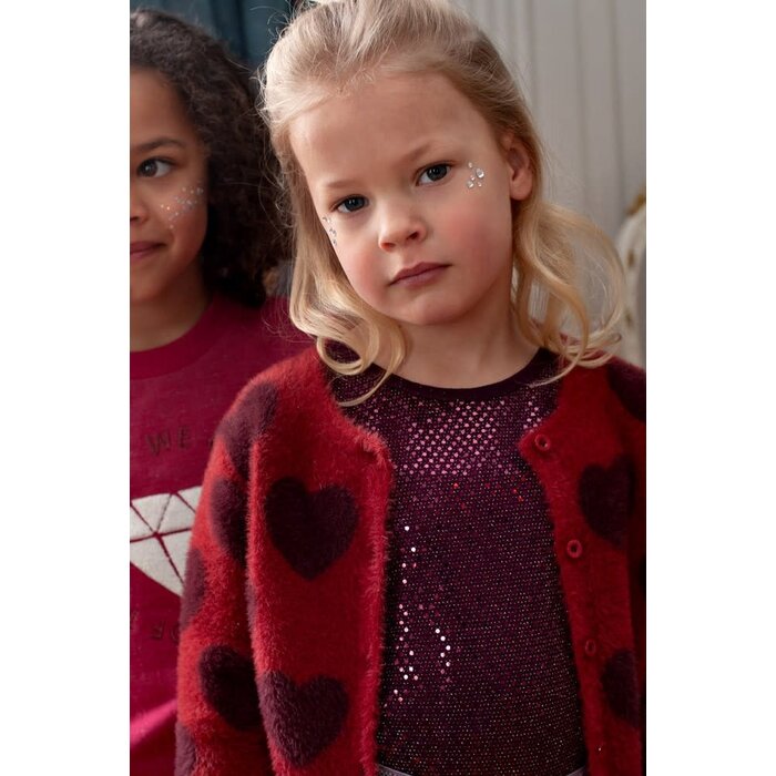 Jubel Longsleeve pailetten Bordeaux - Daily Princess