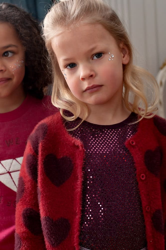Jubel Longsleeve pailetten Bordeaux - Daily Princess