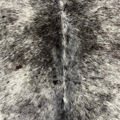 test product - Copy - Copy - Copy