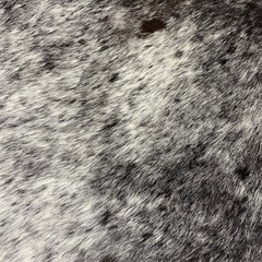 test product - Copy - Copy - Copy