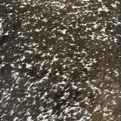 test product - Copy - Copy