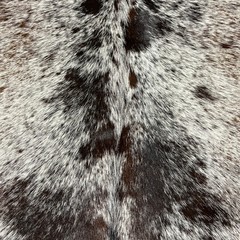 test product - Copy - Copy - Copy - Copy - Copy - Copy - Copy - Copy - Copy - Copy