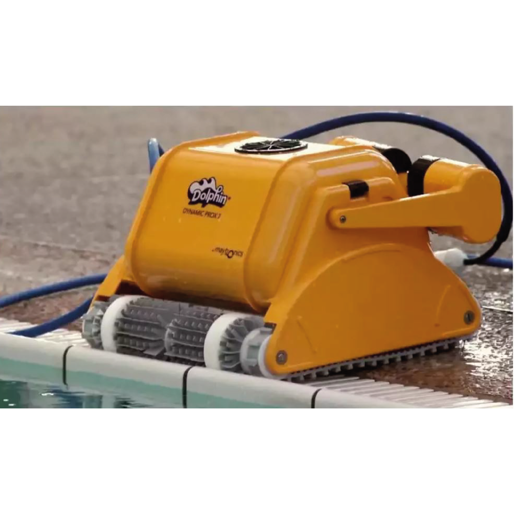 Maytronics Dolphin Dolphin Dynamic Pro X2 | Zwembadrobot