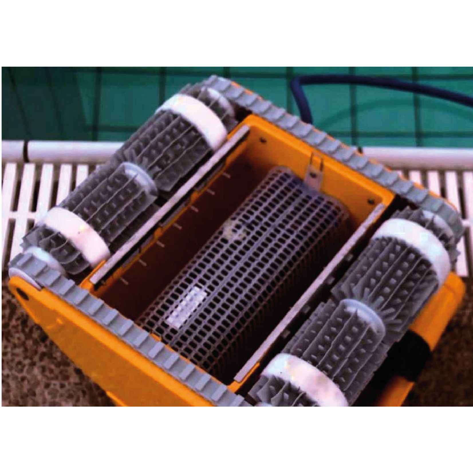 Maytronics Dolphin Dolphin Dynamic Pro X2 | Zwembadrobot