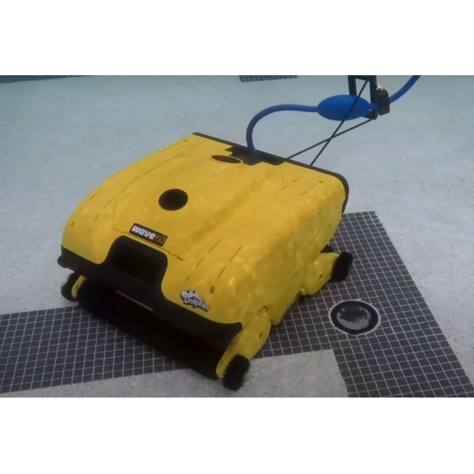 Maytronics Dolphin Dolphin Wave 150 Zwembadrobot