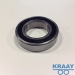 12012 Kogellager 6007 (35/62x14)