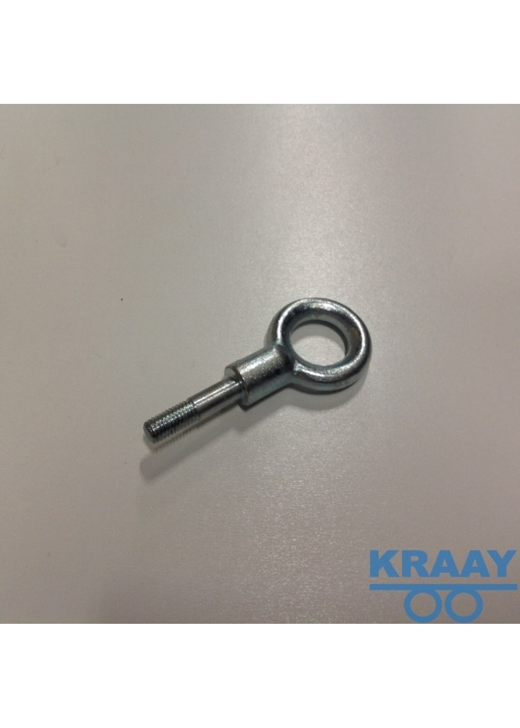 6265 Ringbout M10 VZ L=40mm