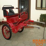 016 D Enkelspan Paard Gig/Sulky