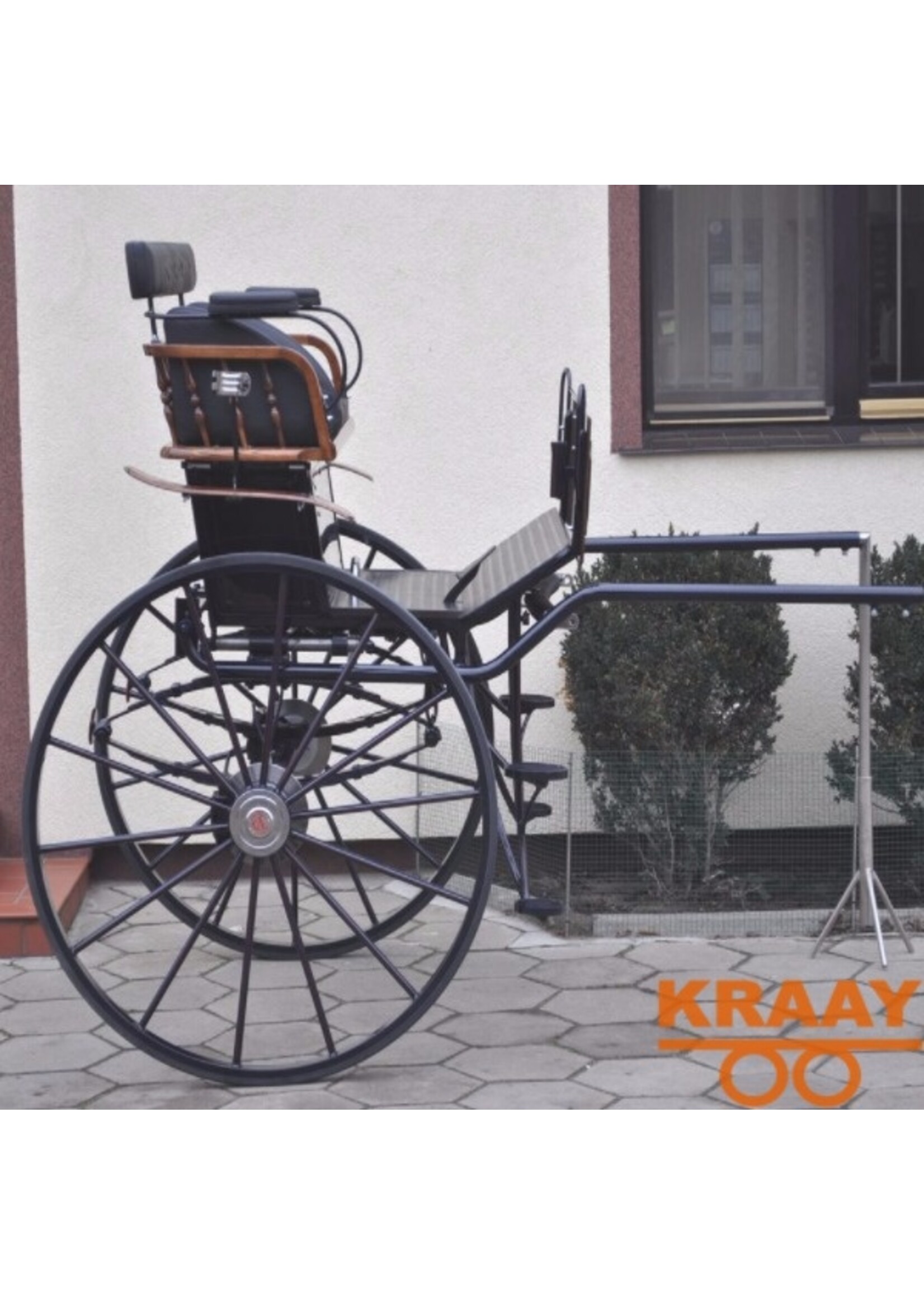 016 G Enkelspan Paard Gig/Sulky