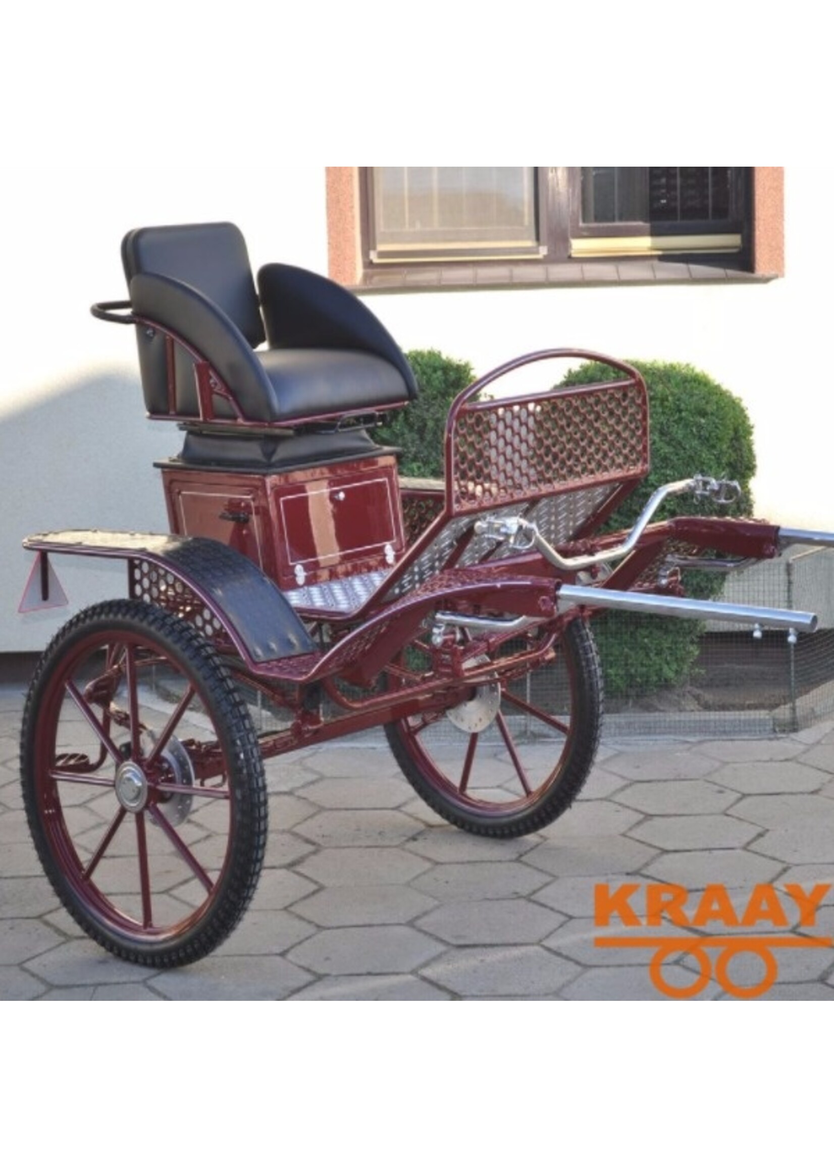 016 U Enkelspan Paard Gig/Sulky