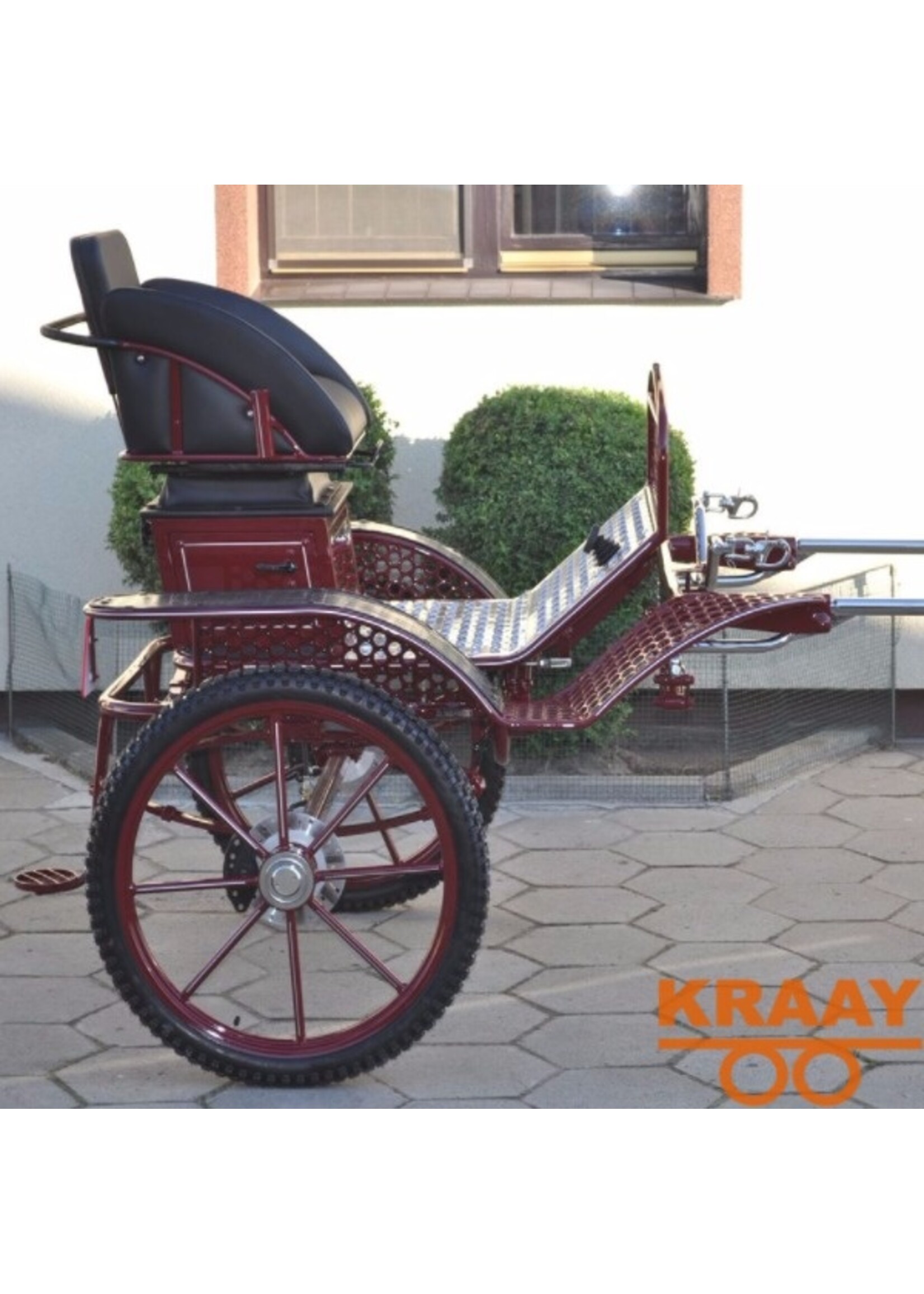 016 U Enkelspan Paard Gig/Sulky