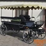 Dominak 008D Enkelspan / Tweespan Recreatiewagen Paard