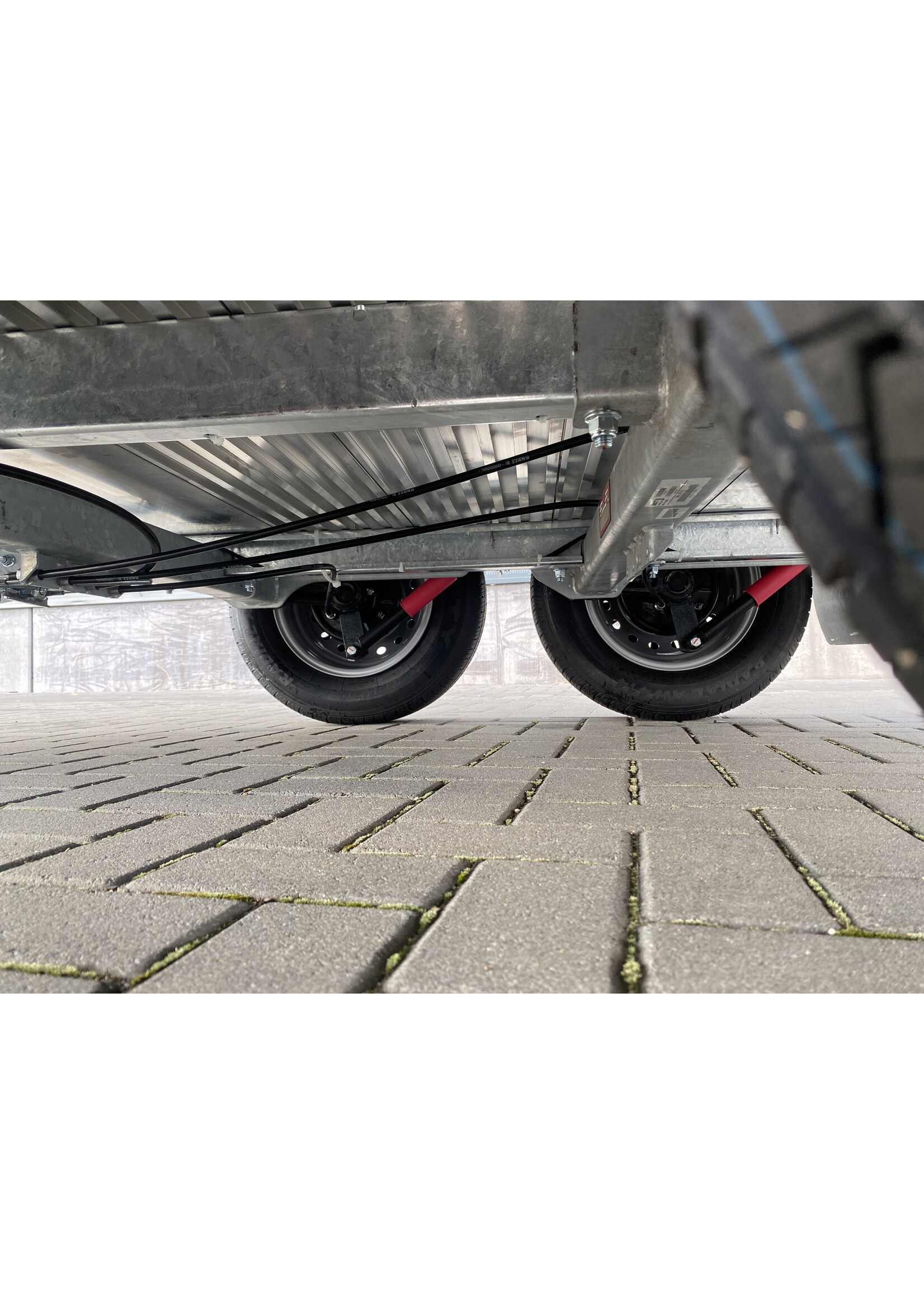 Bockmann Bockmann Champion Uno C | 1.600 kg | Trapbescherming & zadelkamer | ALL - IN AKTIE!