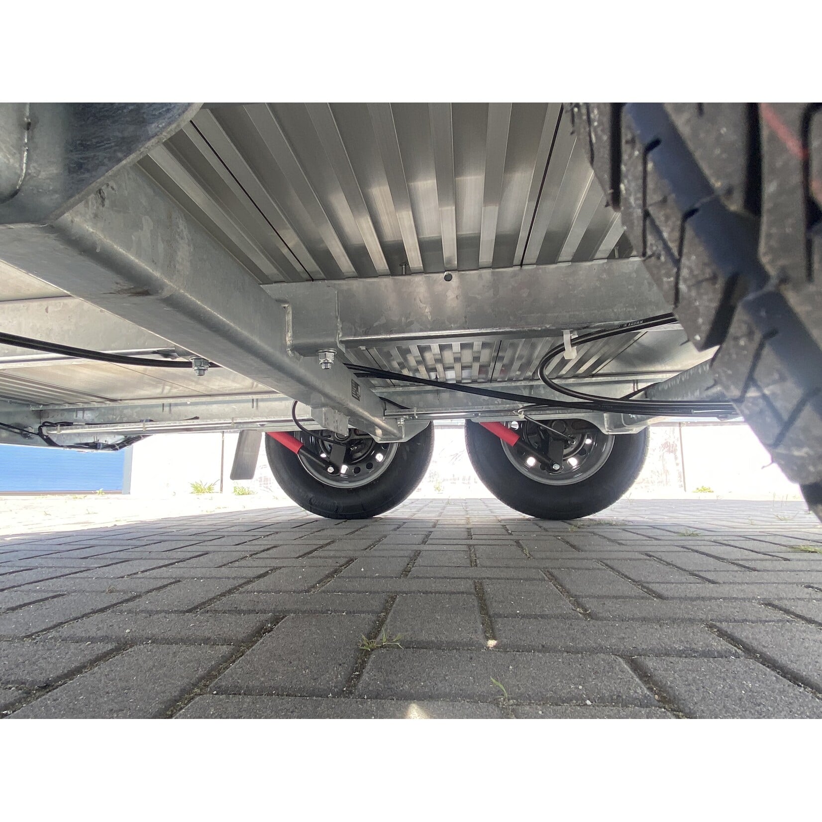 Bockmann  Böckmann Champion R Black Edition | 2.400 kg | Trapbescherming & Zadelkamer  ALL - IN AKTIE!