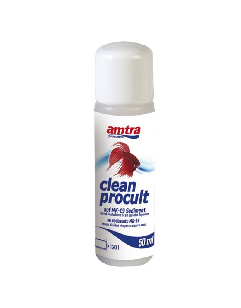 Amtra  Amtra Clean Procult 50ml Lebende Bakterien