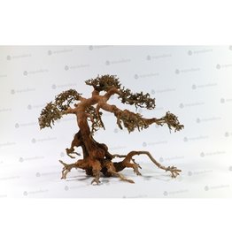 Aquadeco Aqua Bonsai