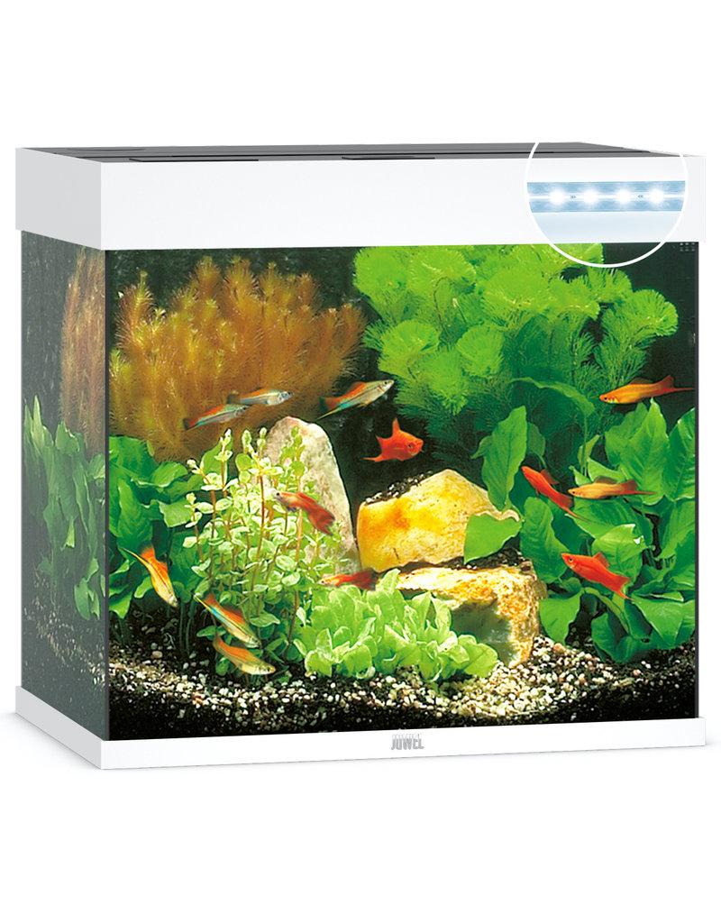 Juwel Aquarium Lido 120 weiß