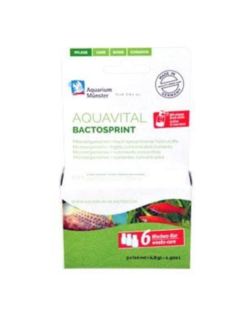 Aquarium Münster Aquarium Münster AQUAVITAL BACTOSPRINT 6 Wochen Kur